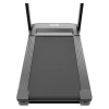 Беговая дорожка CardioPower профессиональный (PRO)  CT230