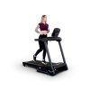 Электрическая беговая дорожка Everyfit 74203B