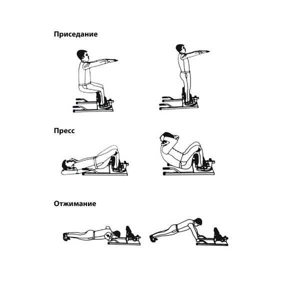 Тренажер для приседаний Squat Machine (sissy) DFC S032YW