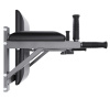 Брусья настенные DFC Homegym G294