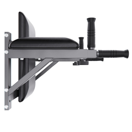 Брусья настенные DFC Homegym G294