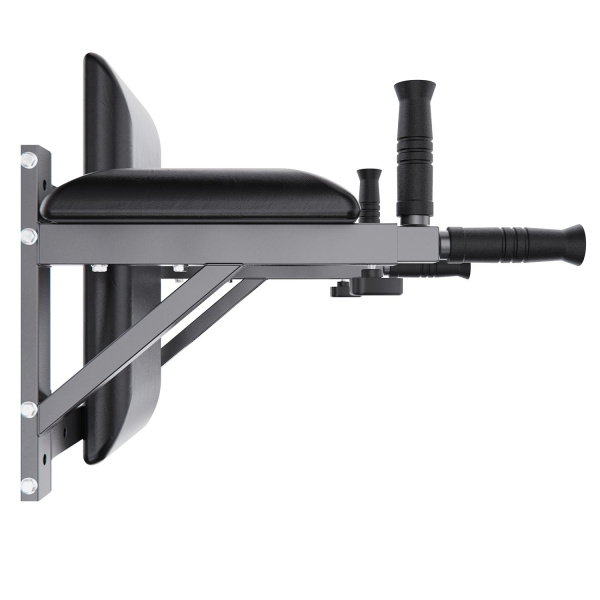 Брусья настенные DFC Homegym G294