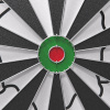 Дартс DFC PRINT двусторонний 45 см, 6 дротиков