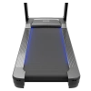 Беговая дорожка CardioPower PRO CT420