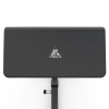 Скамья Скотта DFC Homegym UB009G серый