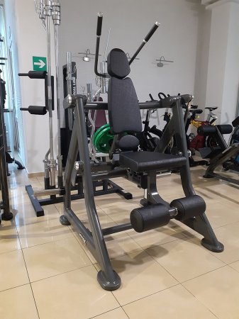 Пресс машина Fitex PRO FTX-6915