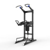 Турник/брусья/пресс Protrain GT-PTR (опция GT-PTR-PDA в комплекте)