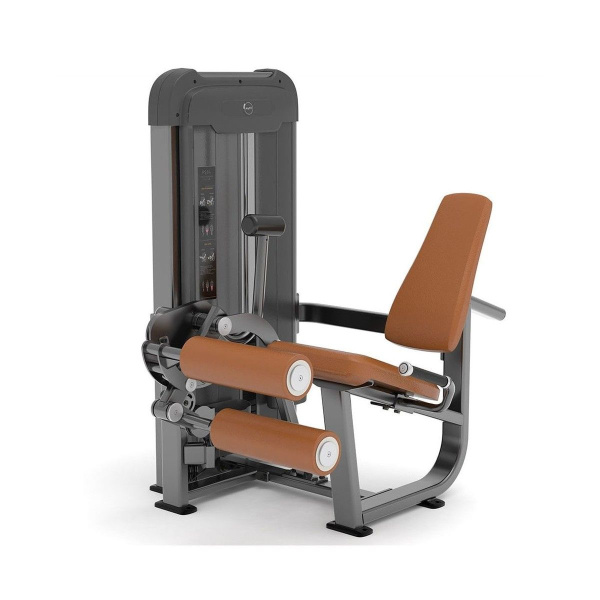 Сгибание/разгибание ног сидя AnyFit PS04-96