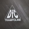 Батут DFC Trampoline Fitness 5 футов б/сетки (152,5см) 5FT-TRBL
