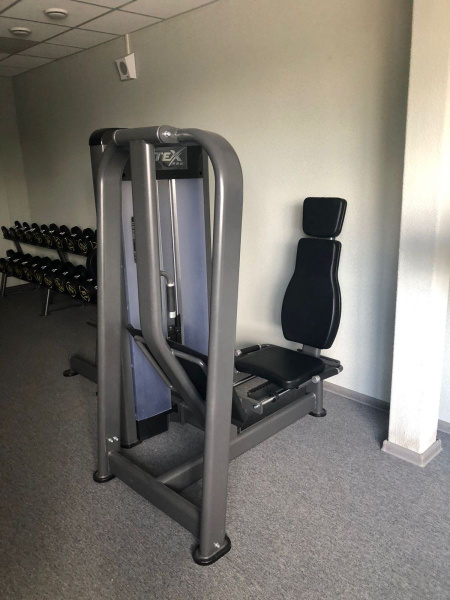 Жим ногами сидя Fitex PRO FTX-61A28