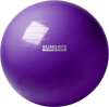 Фитбол гладкий Sundays Fitness IR97402-75 (фиолетовый)