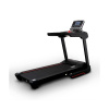 Электрическая беговая дорожка Everyfit 75005