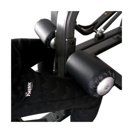 Вертикальная тяга на свободных весах AnyFit T02
