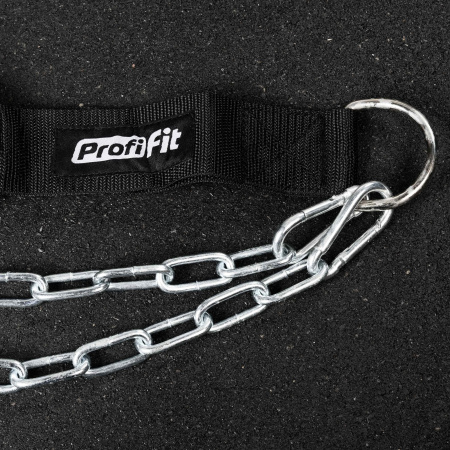 Ремень для подвешивания отягощений к поясу нейлоновый (с логотипом) PROFI-FIT-RT-007