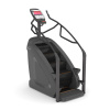 Тренажер-лестница Stairmill AnyFit AI-5
