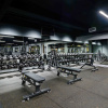 Гантельный ряд профессиональный (шаг 2,5 кг, 10 пар) PROFI-FIT 27,5-50 кг