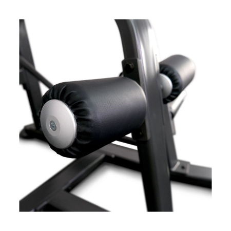 Вертикальная тяга на свободных весах AnyFit T02