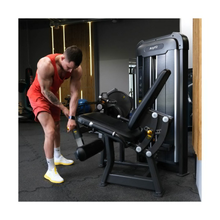 Разгибание ног AnyFit PE201-123