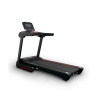 Электрическая беговая дорожка Everyfit 75005LT