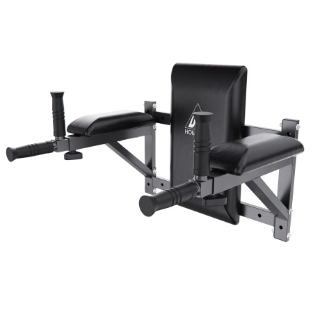 Брусья настенные DFC Homegym G294