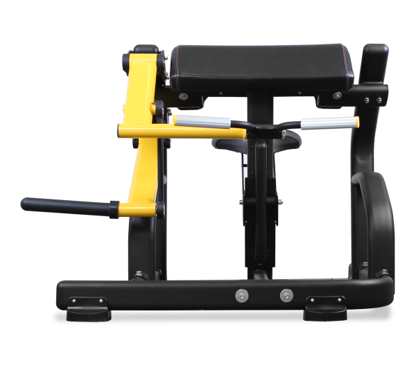 BRONZE GYM PL-1713 Бицепс