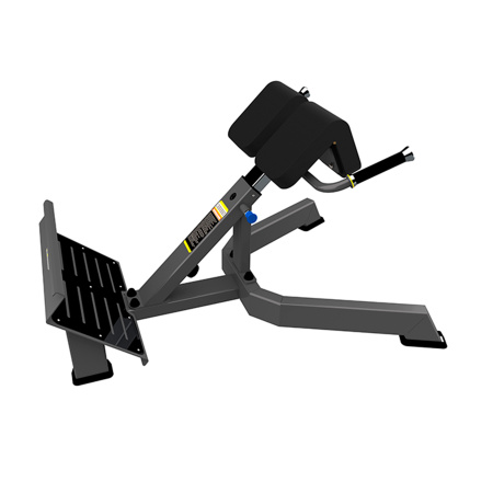 Гиперэкстензия DHZ (Back Extension)