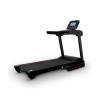 Электрическая беговая дорожка Everyfit 75005LT