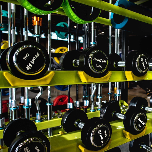 Гантельный ряд профессиональный (шаг 2,5 кг, 10 пар) PROFI-FIT 2,5-25 кг
