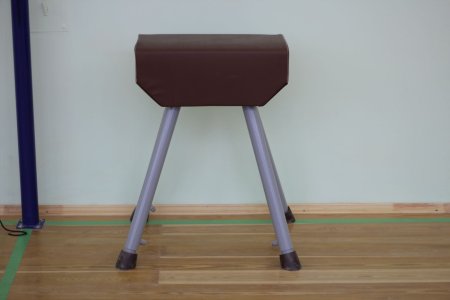 Козел гимнастический из искусственной кожи