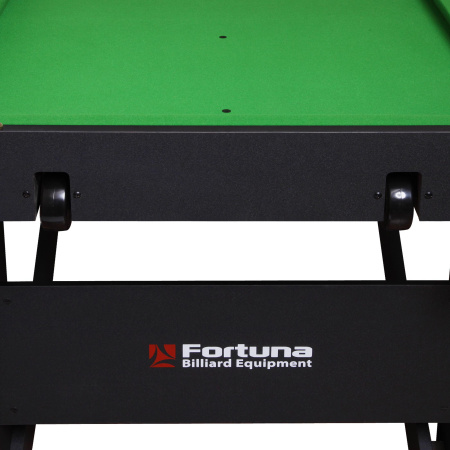 Бильярдный стол Fortuna Hobby BF-530S Cнукер 5фт с комплектом аксессуаров