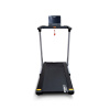 Электрическая беговая дорожка Everyfit 74209