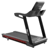 Беговая дорожка CardioPower профессиональный (PRO)  CT230