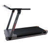 Беговая дорожка Ergonova MaxBurn Pro