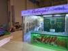 Тир "Победа"
