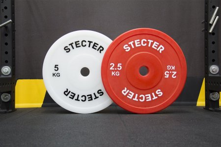 Технический диск для штанги 2,5 кг STECTER (D=450 мм, пластик)