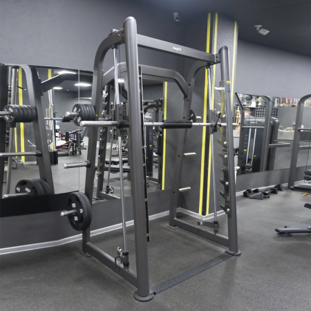 Машина Смита AnyFit PEB201