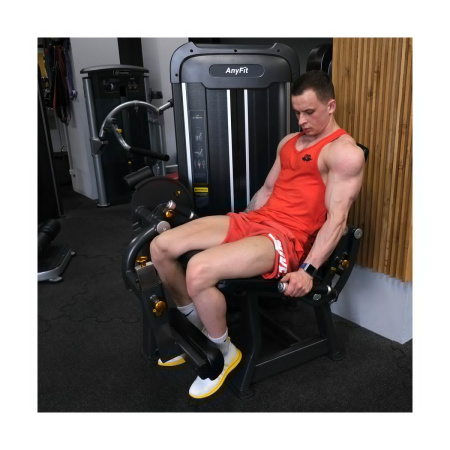 Разгибание ног AnyFit PE201-123