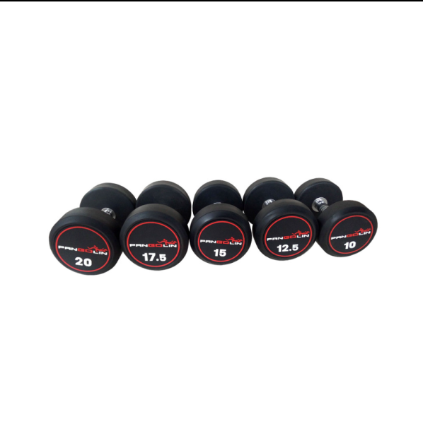 Гантельный ряд Pangolin Fitness DB145B - (от 2,5 до 50кг.)
