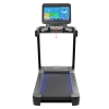 Беговая дорожка CardioPower PRO CT420
