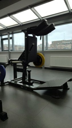 Гакк машина Fitex PRO FTX-6913