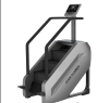 Лестница (Climber) Pangolin Fitness 2040LCD
