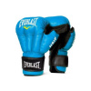 Перчатки для рукопашного боя (кожа) Everlast